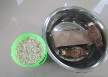 Kembangkan Turunan Talas