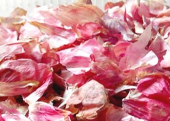 Jangan Dibuang, ini Manfaat Kulit Bawang