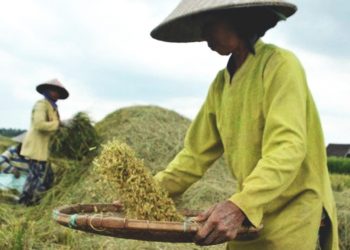 Kalbar Berpeluang Jadi Lumbung Pangan Halal Asia