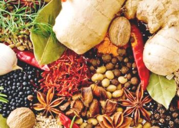 Kembalikan Keharuman Rempah Indonesia