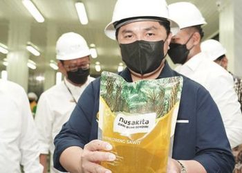 Menteri BUMN Mengetuk Hati Swasta Terkait Minyak Goreng