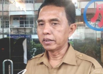 Stok Daging Ayam Aman