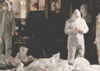 AS Laporkan Kasus Pertama Flu Burung H5 pada Manusia