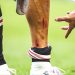 Kaki Ronaldo Berdarah