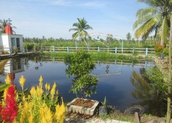 Wisata Religi Darul Fikri, Tak Sekadar Plesiran     