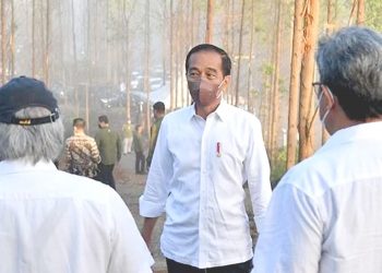 Jokowi Tandatangani Perpres Tanah IKN