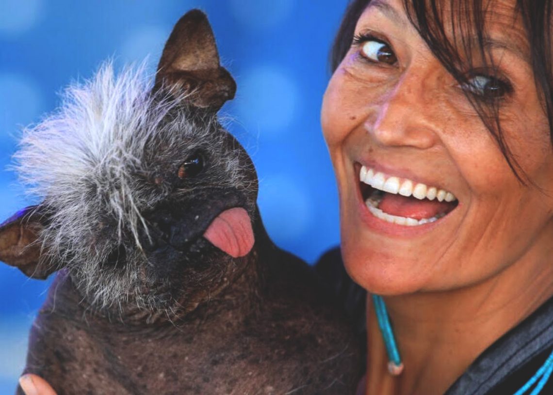 Mr Happy Face pemenang kontes anjing terjelek di dunia, bersama majikannya Jeneda Benally.(youtube).