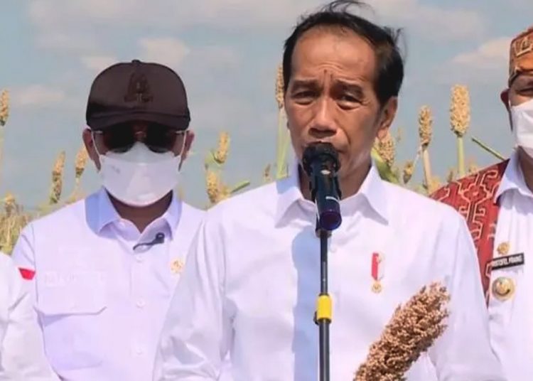 Presiden Jokowi. (hms)