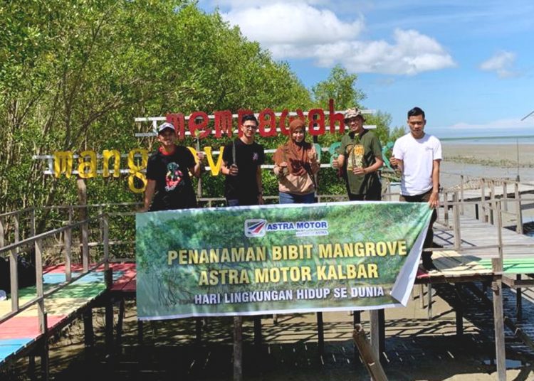 Karyawan Astra Motor Kalimantan Barat, melakukan penanaman bibit mangrove di Hutan Mangrove Mempawah. (ist)