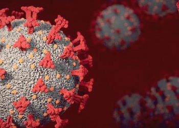 143 Kasus Varian Omicron Terdeteksi di Indonesia