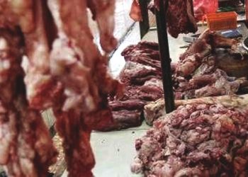 Hati-hati Ternak PMK, Hindari Konsumsi Jeroan