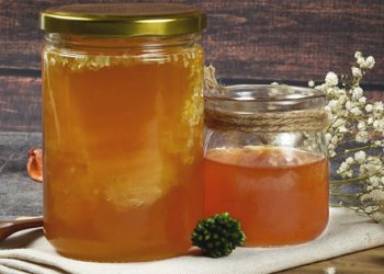 Madu Asli Pasti Disukai Semut