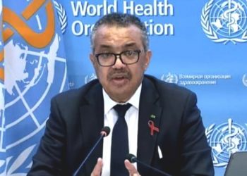 WHO Sebut 98 Persen Cacar Monyet Terjadi pada Gay