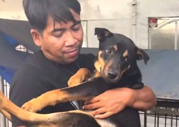 Polisi Gerebek Rumah Jagal Anjing