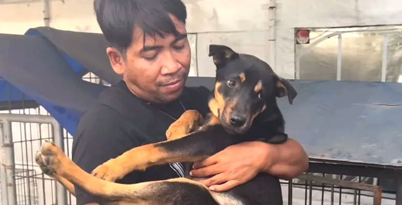 Aktivis pencinta hewan menggendong anjing diselamatkan dari rumah jagal anjing, usai penggerebakan bersama tim dari Polrestabes Surabaya. (Animals Hope Center)
