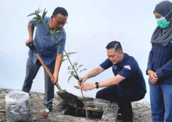 Astra Motor Tanam 10.000 Pohon Bakau