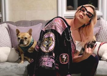 Penculik Anjing Lady Gaga Dihukum Empat Tahun Penjara