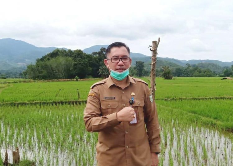 Kepala Dinas Tanaman Pangan dan Hortikultura (TPH) Provinsi Kalbar, Florentinus Anum.(ist)