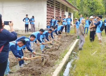 Dinas TPH Kalbar Dorong Petani Tanam Bawang