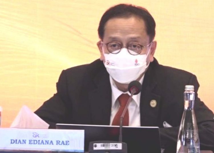 Dian Ediana Rae, Kepala Eksekutif Pengawas Perbankan OJK.(youtube)