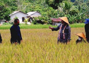 Peningkatan Produksi Komoditas Strategis, Upaya Pengendalian Inflasi Pangan di Kalbar