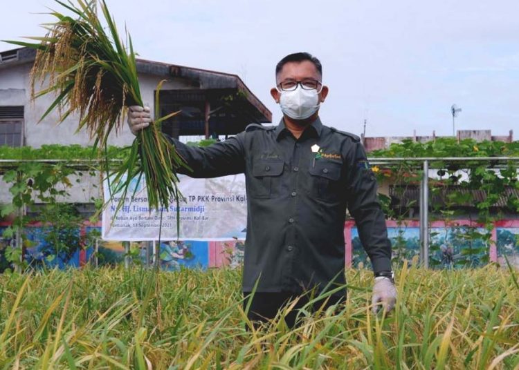 Florentinus Anum, Kepala Dinas Tanaman Pangan dan Hortikultura (TPH) Kalimantan Barat, memastikan ketahanan pangan tetap terjaga.(ist)