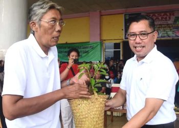 Dinas TPH Kalbar Kembangkan 70 Hektar Cabai Hadapi Lonjakan Kebutuhan Nataru