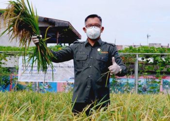 Di Tengah Ancaman Krisis Pangan Dunia, Kalbar Surplus Beras 346.648 Ton 