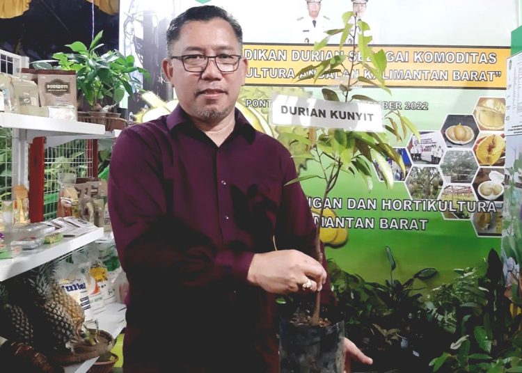Kepala Dinas Tanaman Pangan dan Hortikultura Provinsi Kalbar, Florentinus Anum buka peluang investasi durian di Kalbar.(ist)