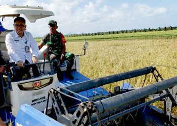 Begini Sasaran Produksi dan Banpem Pajale di Kalbar 2023 Mendatang