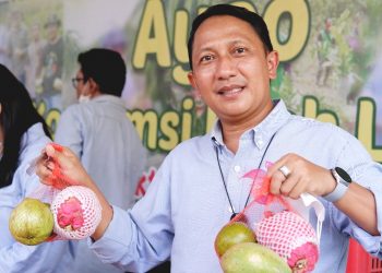 Petani Kalbar Perlu Bentuk Lembaga Ekonomi