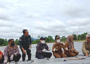 Gerakan Tanam Cabai Gencar Dilakukan untuk Kendalikan Inflasi 