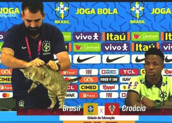 Dunia Maya Sorot Kegagalan Brasil karena Karma Kucing