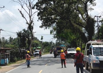 PLN Ajak Stakeholder Laksanakan Program P3K
