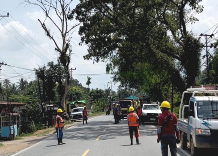 Petugas PLN ULP Siantan melakukan pemangkasan, penebangan dan pemeliharaan konstruksi (P3K).ist