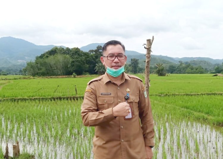 Kepala Dinas Tanaman Pangan dan Hortikultura Provinsi Kalbar, Florentinus Anum.(ist)