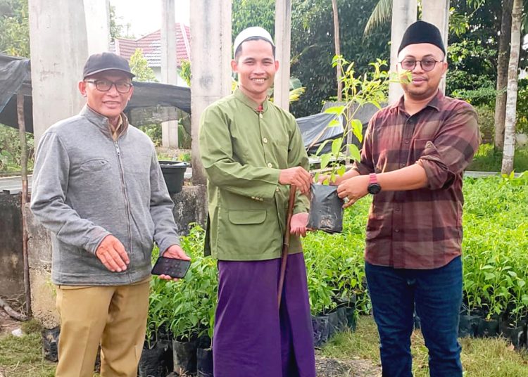 Dinas Tanaman Pangan dan Hortikultura (Dis TPH) Provinsi Kalimantan Barat memberikan bantuan pohon cabai produktif.(ist)