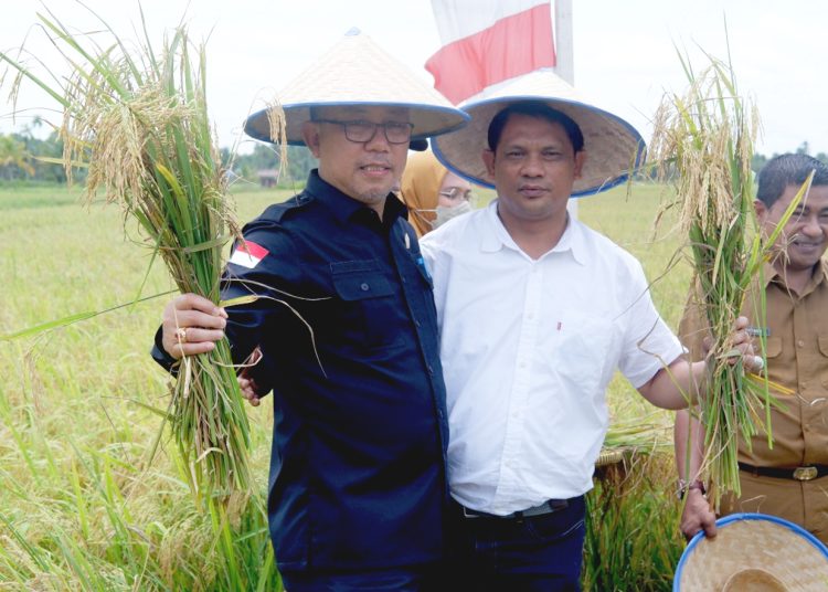 Kepala Dinas Tanaman Pangan dan Hortikultura Provinsi Kalbar, Florentinus Anum.(ist)