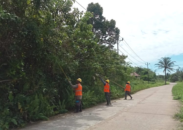 Petugas PLN memangkas pohon yang mengganggu kabel jaringan listrik.(ist)
