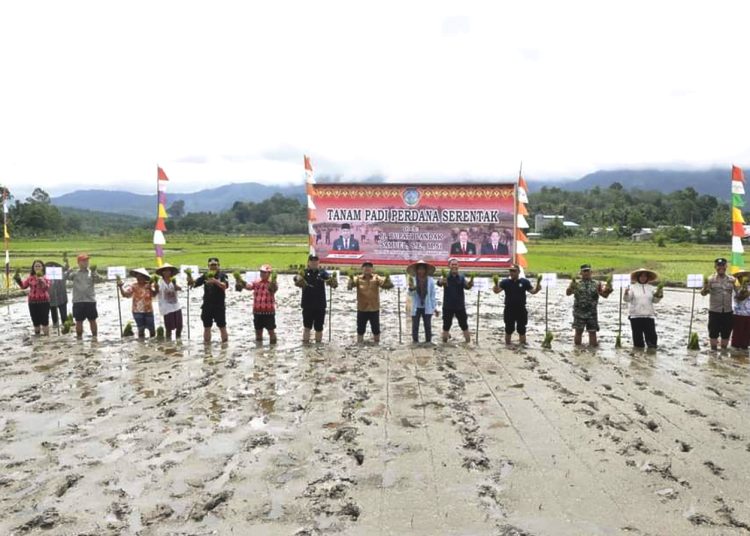 Kepala Dinas Tanaman Pangan dan Hortikultura Provinsi Kalbar, Florentinus Anum dorong petani percepat tanam padi untuk menghindari cuaca ekstrim.