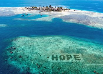 SHEBA Mencari Advokat untuk Merestorasi Terumbu Karang