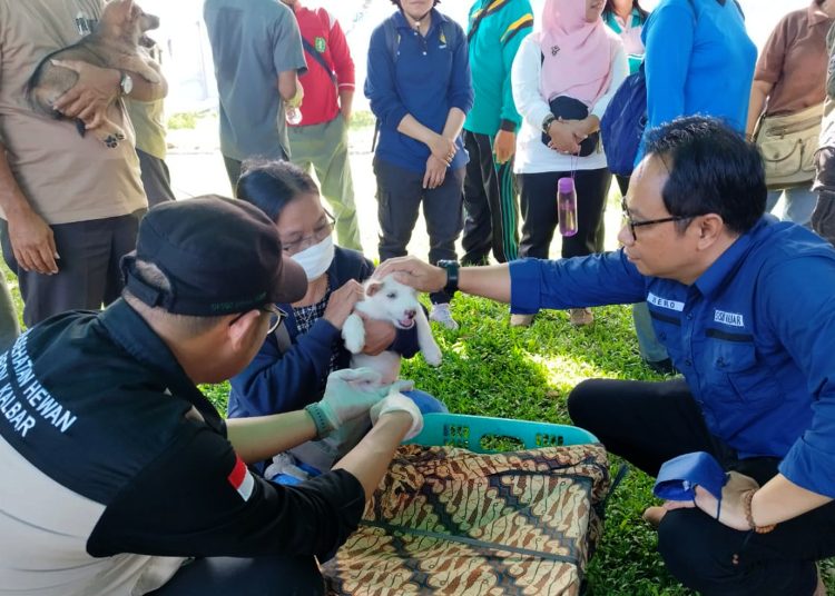 Kepala Dinas Perkebunan dan Peternakan Provinsi Kalbar, Heronimus Hero.