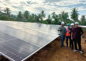 PLN Kembangkan Pembangkit Listrik Tenaga Surya di Perbatasan