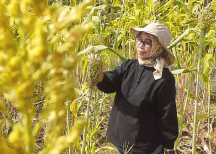 Sekretaris Dinas Tanaman Pangan dan Hortikultura Provinsi Kalbar, Endang Kusumayanti.(ist)