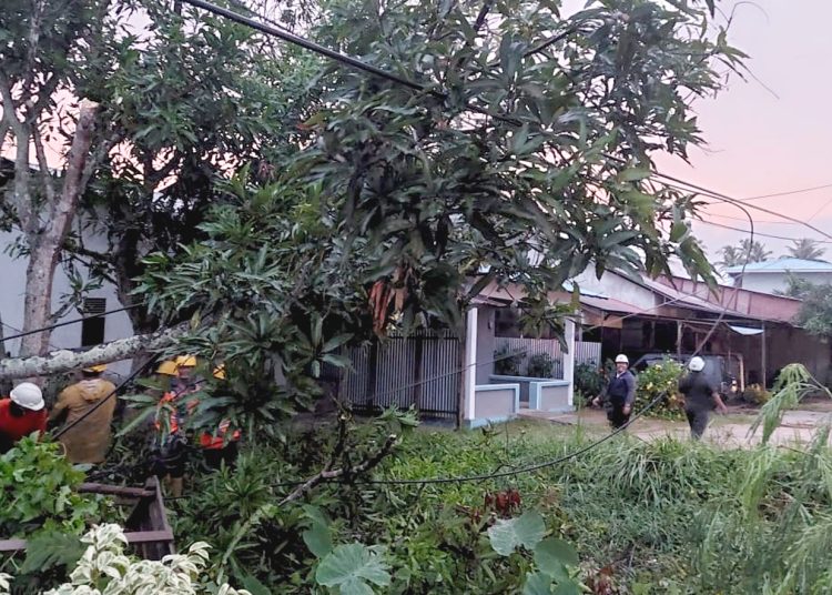 Petugas PLN memperbaiki jaringan listrik yang rusak akibat bencana angin puting beliung di daerah Semudun, Kabupaten Mempawah, Kalimantan Barat, Senin.(ist)