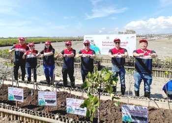 Semarak HUT ke-53 Tahun Astra Motor Tanam 10.000 Bibit Mangrove