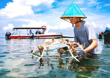 SHEBA® Pertemukan Lima Advokat Global