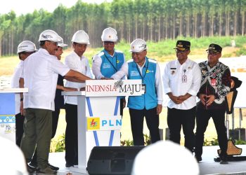 Presiden Jokowi Groundbreaking Pembangunan PLTS PLN 50 MW di IKN Nusantara
