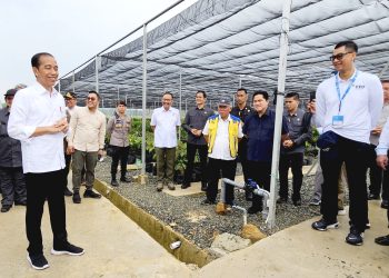 Dirut PLN Siap Penuhi Kebutuhan Listrik dari Energi Bersih