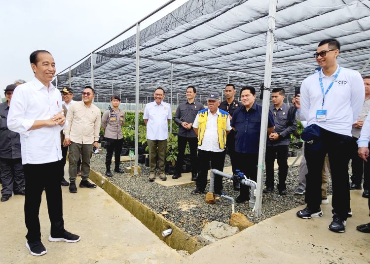 Presiden RI Jokowi dan Dirut PLN Darmawan Prasodjo di IKN di Ibukota Nusantara (IKN), Kamis.(ist)